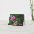 Pesquisar por obrigado roxo da flor Floral
