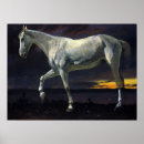 Pesquisar por white horse pôsteres pósteres Animal