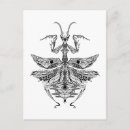 Pesquisar por zendoodle cartoes Rabisco