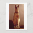 Pesquisar por bastet cartoes postais Egito