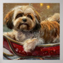Pesquisar por cão do apso de lhasa pôsteres pósteres Qualquer pessoa
