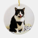 Pesquisar por gatinho preto ornamentos Humor