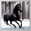 Pesquisar por cavalo preto Natureza