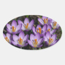 Pesquisar por croco adesivos Floral