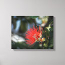 Pesquisar por flores tropicais impressão de canvas Floresta tropical
