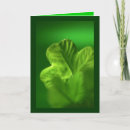 Pesquisar por símbolos da boa sorte cartoes Shamrock