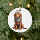 Pesquisar por vizsla ornamentos Inverno