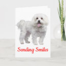 Pesquisar por maltese puppy cartoes Puppies