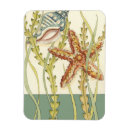 Pesquisar por peixes imas Chariklia zarris