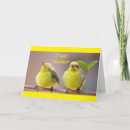 Pesquisar por sis cartoes Photography