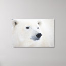 Pesquisar por ártico impressão de canvas Canadá