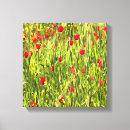 Pesquisar por papoilas impressão de canvas Vermelho