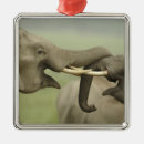 Pesquisar por elefante indiano ornamentos Corbett