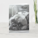 Pesquisar por french bulldog de cartoes Dogs