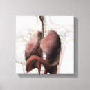 Pesquisar por corpo humano impressão de canvas Órgão
