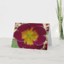 Pesquisar por formula cartoes Fórmula