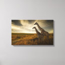 Pesquisar por animais africanos impressão de canvas Girafa