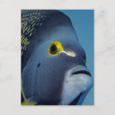 Pesquisar por mar irlanda cartoes postais Submarino