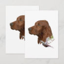 Pesquisar por irish setter cartoes Animal