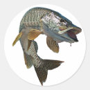 Pesquisar por musky adesivos Pesca