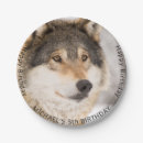 Pesquisar por lobos pratos Vida selvagem
