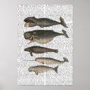 Pesquisar por vintage animal pôsteres pósteres Folhas de flores