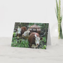 Pesquisar por funny cow cartoes Para ele