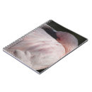Pesquisar por flamingo cadernos de notas Colorido