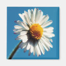 Pesquisar por wildflowers imas Flor