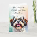Pesquisar por shih tzu cartoes Amizade