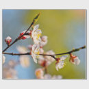 Pesquisar por flor japonesa papel de presente Para todos