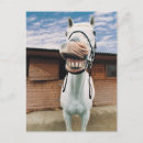 Pesquisar por boca aberta cartoes postais Vertical