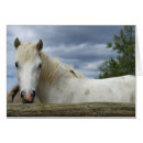 Pesquisar por juba cartoes postais Animal