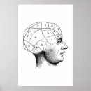 Pesquisar por anatomia pósteres Cérebro