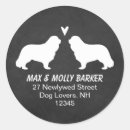 Pesquisar por cavalier adesivos Cavaleiro charles spaniel