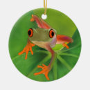 Pesquisar por olhos vermelhos ornamentos Diversão