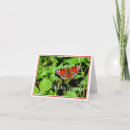 Pesquisar por cartão do pavão cartoes Borboleta