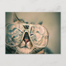 Pesquisar por olhos engraçados cartoes postais Gato