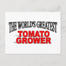 Pesquisar por produtor cartoes postais Tomate