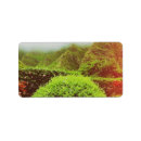 Pesquisar por havaianas etiquetas Hawaii