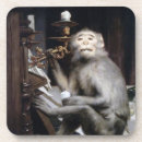 Pesquisar por macacos porta copos Engraçado