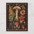 Pesquisar por ilustração botânica cartoes postais Para todos