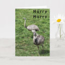 Pesquisar por avestruz cartoes Amigo