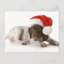 Pesquisar por christmas puppy cartoes postais Fofofo