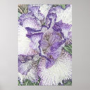Pesquisar por flor roxa e branca pôsteres pósteres Floral