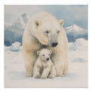 Pesquisar por filhote de urso polar pôsteres pósteres Inverno