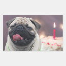 Pesquisar por pug engraçado adesivos Aniversário