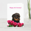 Pesquisar por rottweiler cartoes Amor
