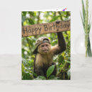 Pesquisar por macaco feliz aniversario cartoes Qualquer pessoa