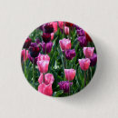 Pesquisar por tulips botons Primavera